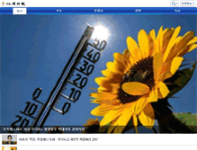 Tablet Screenshot of m.kwnews.co.kr